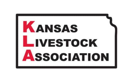 Nine Kansas Students Earn Youth Agriculture Scholarships